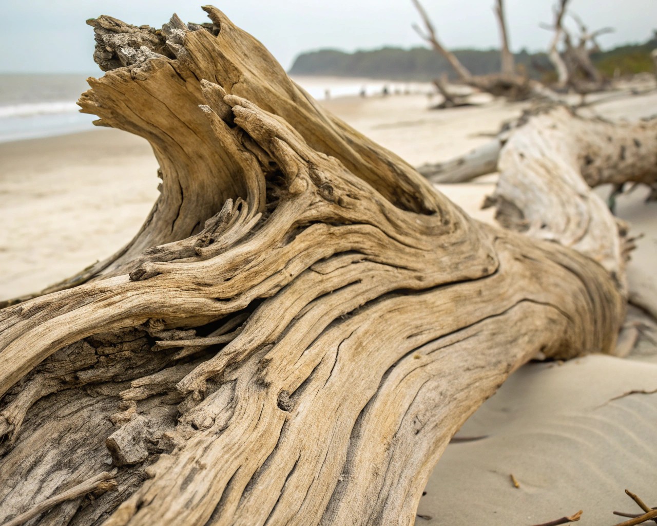 Driftwood's unique texture and natural beauty make it ideal for jewelry displays.